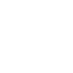 feature-item-2