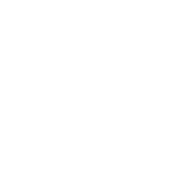 feature-item-3