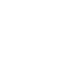 feature-item-4