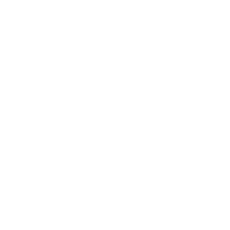feature-item-1